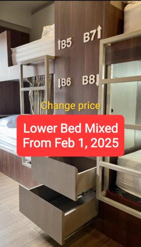 Comfort Zone Hostel @ Tha Pae Room Type - Lower-Bunk Bed in Mixed Dormitory Room