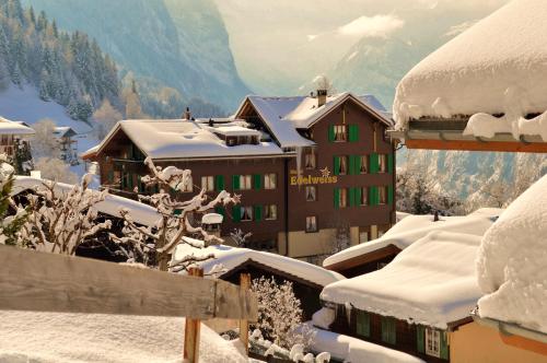 Hotel Edelweiss - image 11