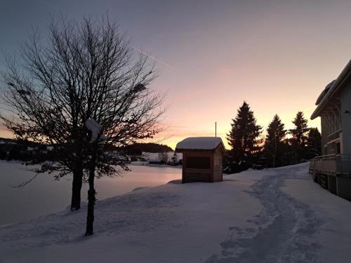 Au Coeur du Lapidaire in Septmoncel