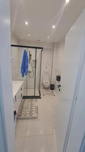 MAIN STREET VIEW APARTMENT Berane MAIN STREET VIEW APARTMENT Berane