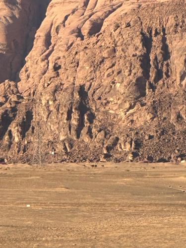 RUM FLOWER lUXURY CAMP in Wadi Rum