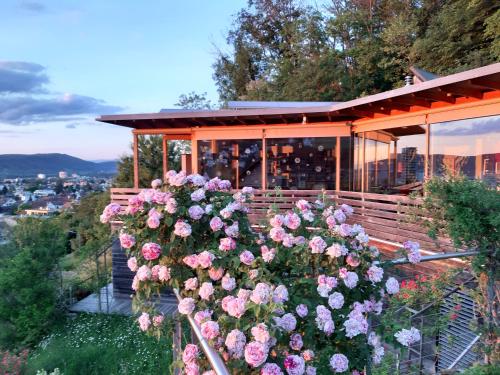 B&B Sunnesite Pratteln - image 3