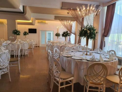 Hotel Dumbrava - image 8