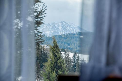 Apartament Hanka z Jacuzzi i widokiem na góry, Zakopane (photo 6)