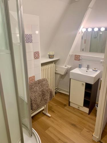 Ванна кімната, maison delalonde Autun centre appartement familial 7places in Отун