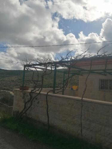 ريف عجلون, Ajlun (foto 5)
