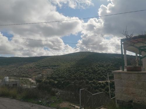 ريف عجلون, Ajlun (foto 4)