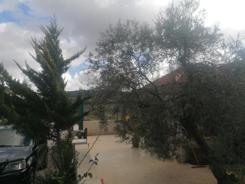 روابي عجلون منزل, Ajlun (foto 8)