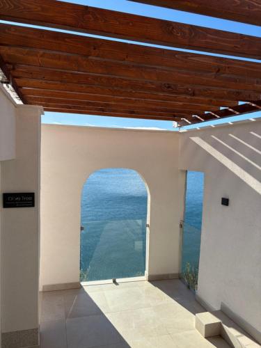 Olive Tree Apartment in Komarna