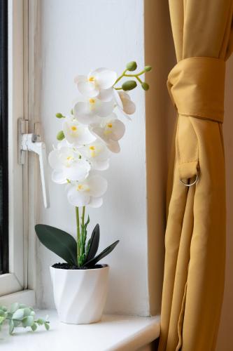 Open Mind Property - Spacious Ensuite Studio for 4 - image 4