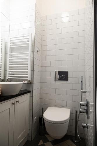 Spacious Apartment near Prague Castle