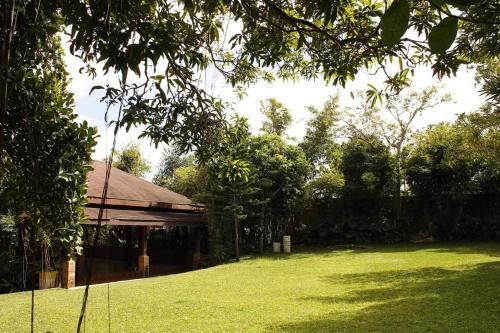 Terrace Hill Resort - 정원
