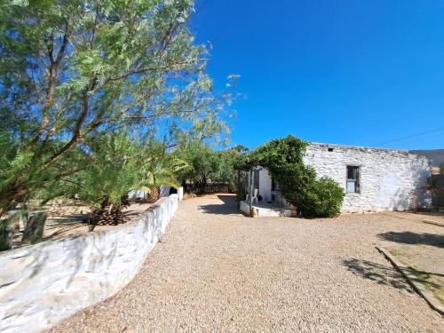 Olive grove cottage in Koringberg