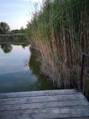 Siocamping - image 9