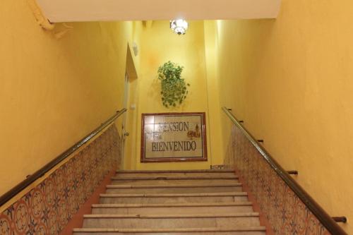 Pensión Bienvenido, Seville (photo 4)