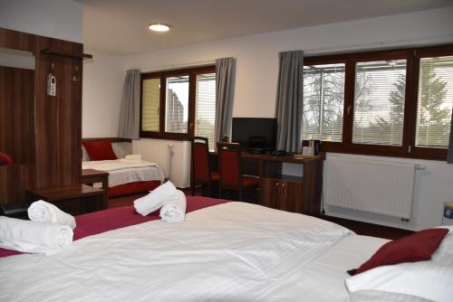 Hotel Avalanche - image 10