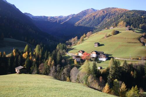 Bauernhof im Wiesengrund - image 3