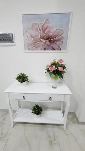 L'impero dei fiori, Rom (Foto 9)