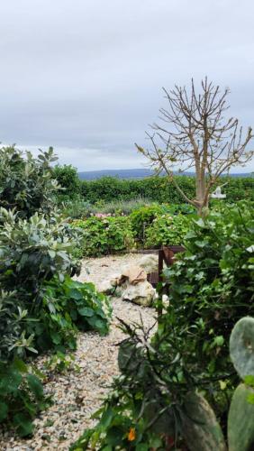 Pause Studio Room Yzerfontein