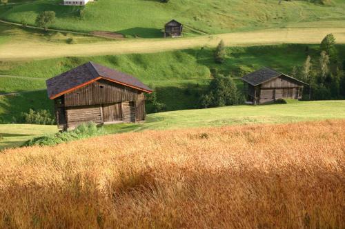 Bauernhof im Wiesengrund