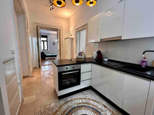 Historic Apartment in Center