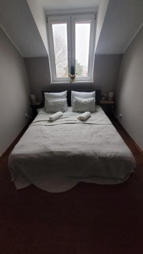 Apartament pod Toruniem
