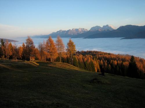 Bauernhof im Wiesengrund