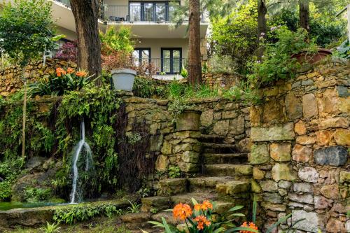 Casa Vela Boutique House & SPA - image 3