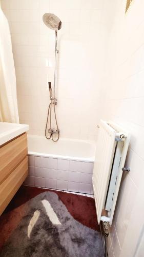 Appartement te huur in Antwerpen 100 meter, Antwerp (photo 10)