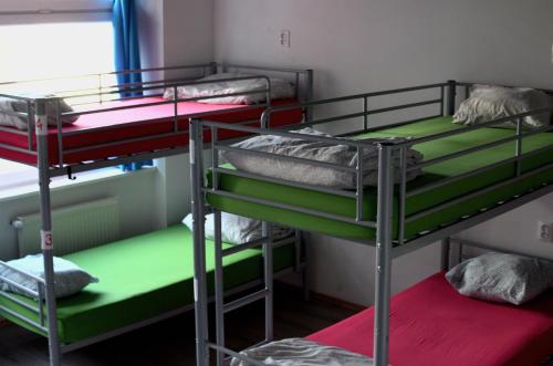 Urban Elephants Hostel - image 2