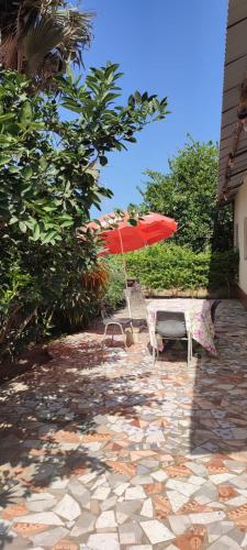 花園, Sateh Eco Lodge in 貢朱爾