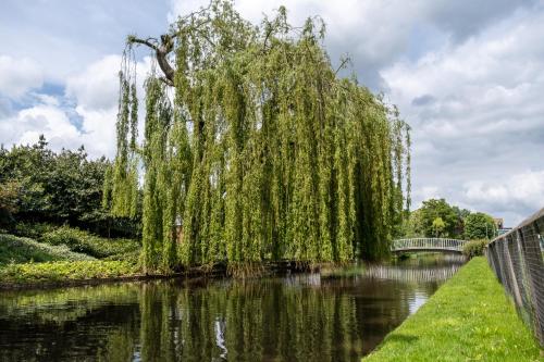 Cerca de lugares turísticos, Premium CITY Apartment in Hemel Hempstead