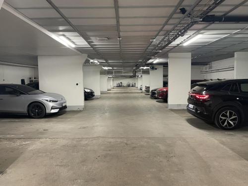 Penthouse apartment balcony,parking and 2 bedrooms, Oslo (foto 3)