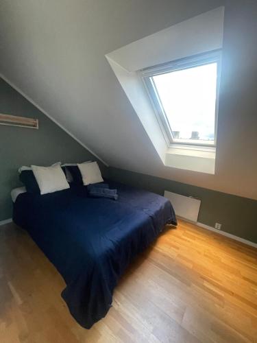 Penthouse apartment balcony,parking and 2 bedrooms, Oslo (foto 4)