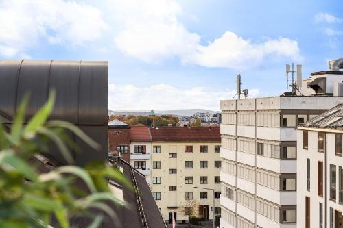 Penthouse apartment balcony,parking and 2 bedrooms, Oslo (foto 8)