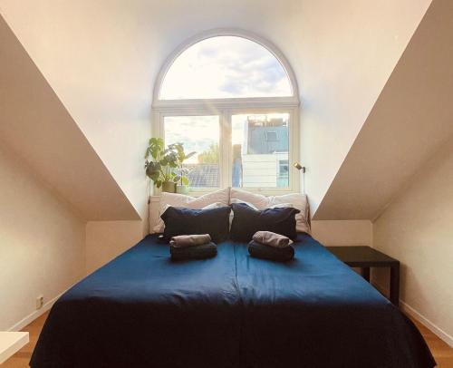 Penthouse apartment balcony,parking and 2 bedrooms, Oslo (foto 9)