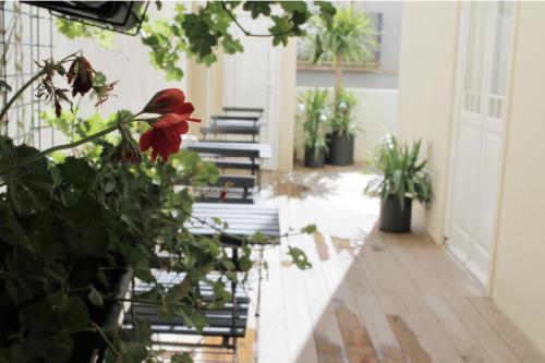 Baixa24 · City Center Private Sun Deck Apartment, Порту