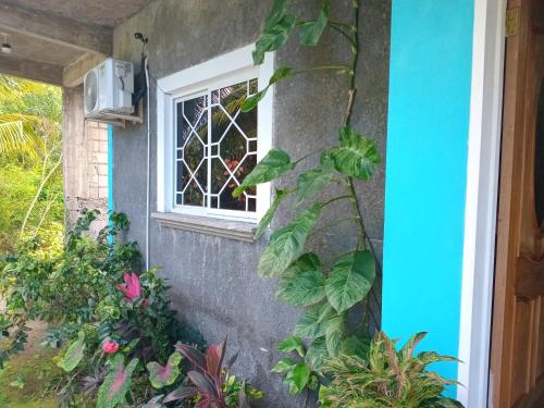 tuin, The Gibson's Palace in Oracabessa