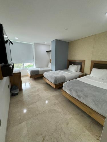 Hotel Odonata Real in La Heroica