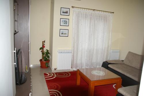 Apartments Drina - image 10