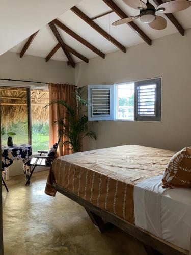 Yes Papa! Rooms only 100m from the beach! in Las Galeras