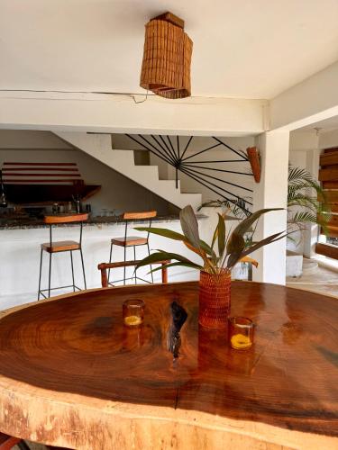 Yes Papa! Rooms only 100m from the beach! in Las Galeras