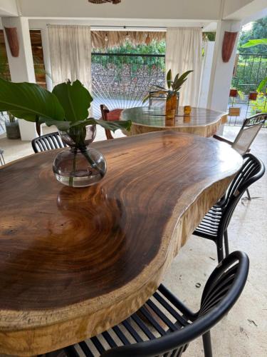 Yes Papa! Rooms only 100m from the beach! in Las Galeras