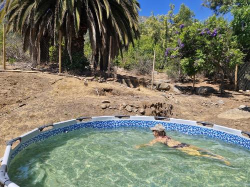 Oasis in the mountain, Quebrada Alvarado, Olmué (Oasis in the mountain, Quebrada Alvarado, Olmue) in Quebrada De Alvarado