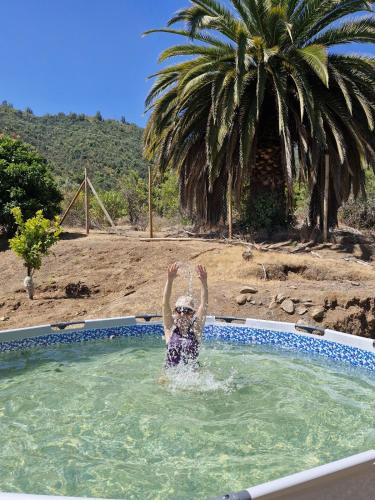 Oasis in the mountain, Quebrada Alvarado, Olmué (Oasis in the mountain, Quebrada Alvarado, Olmue) in Quebrada De Alvarado