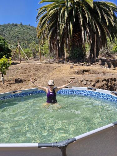 Oasis in the mountain, Quebrada Alvarado, Olmué (Oasis in the mountain, Quebrada Alvarado, Olmue) in Quebrada De Alvarado