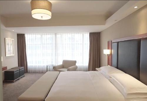 Ambassator Suite image 5