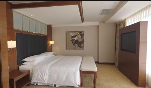 Presidential Suite image 10