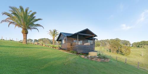 Black Cockatoo Coorabell