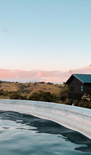 Black Cockatoo Coorabell